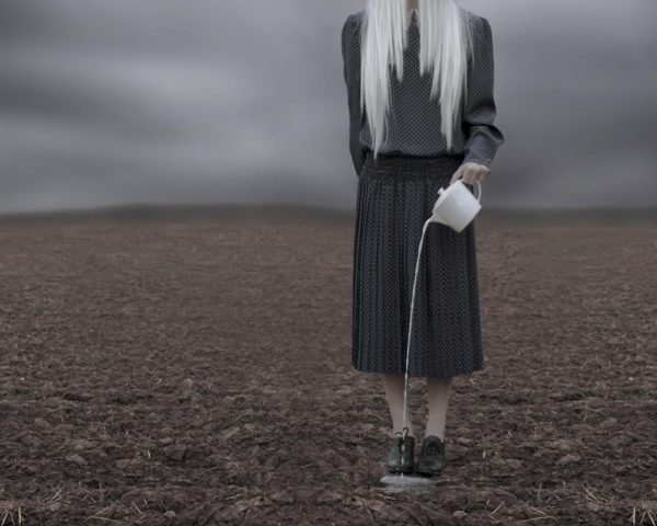 The Liminal Field by Patty Maher