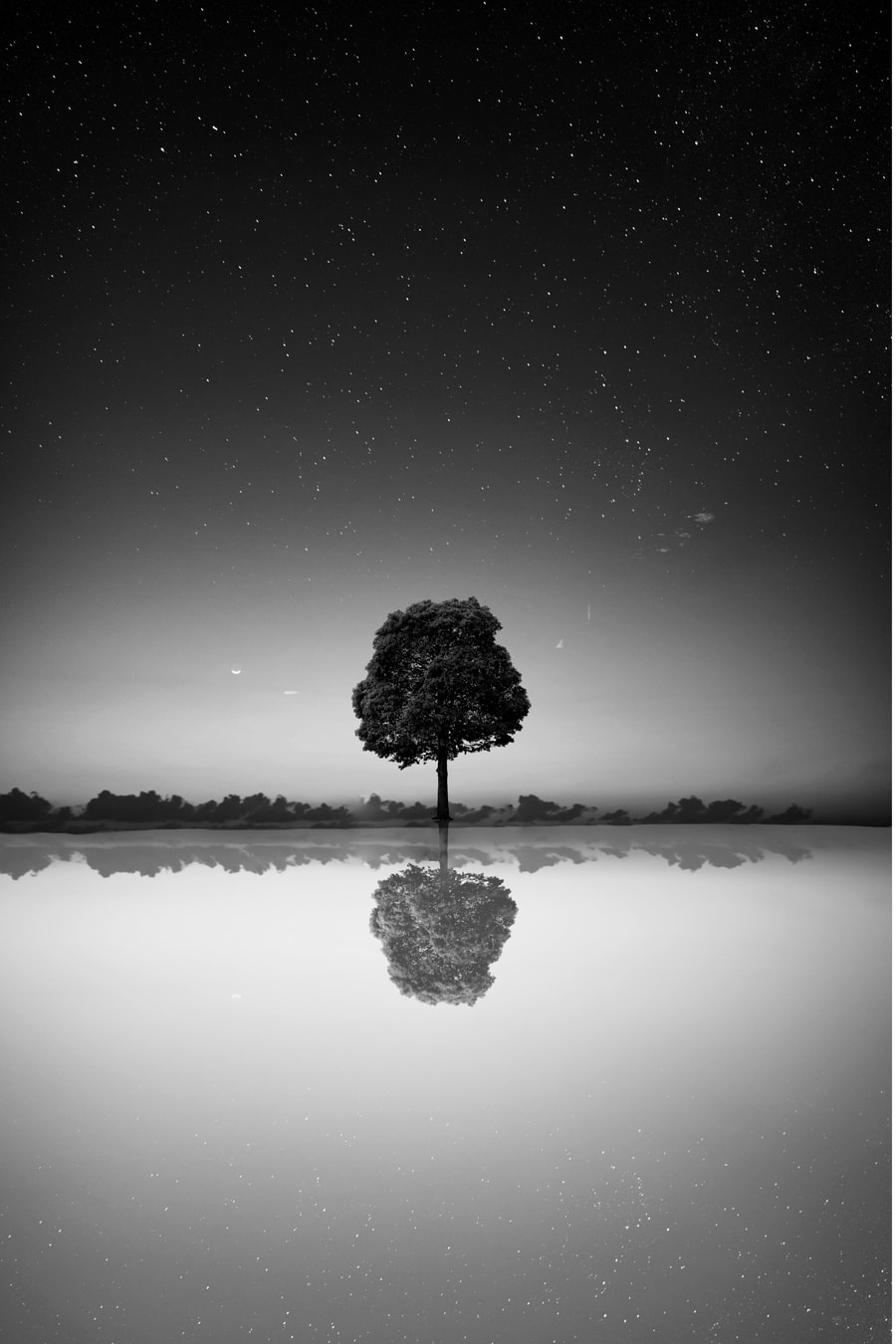 A sole tree in a black-and-white photo, in the middle of a lake, its reflection showing along with the milkyway.