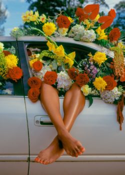 a car filled with flowers