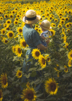 mother with child on a sunflower field