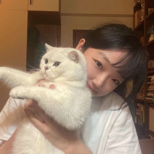 Yanyan Zhao